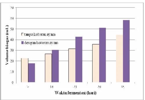 Gambar 3. Grafik Perbandingan Volume Biogas yang Dihasilkan DENGAN atau TANPA Kotoran Ayam pada Rasio Pengenceran 1 : 3 (w/v) 