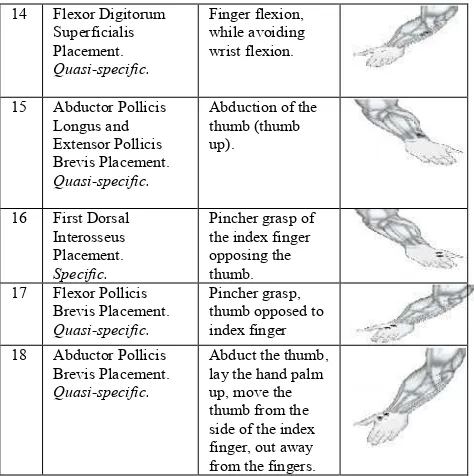 Tabel 2. Penentuan muscle untuk gerakan pada upper Extremity (Criswell, 2011) 