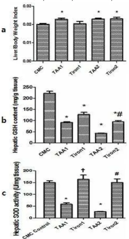 Figure (1): a.Effect of tiron (300mg/kg) administration 