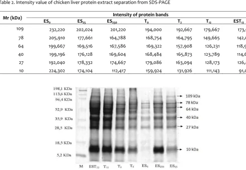 Figure 1. Protein isolate of chicken livers in various treatments 