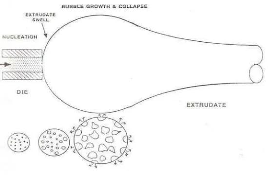 Gambar 14 Skema pengembangan produk ekstrusi (Kokini  et al.,1992) 