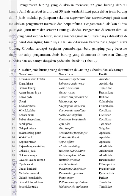 Tabel 2  Daftar jenis burung yang ditemukan di Gunung Cibodas dan sekitarnya 