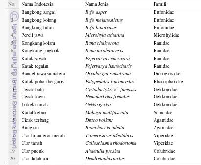 Tabel 4  Daftar jenis herpetofauna yang ditemukan di Gunung Cibodas dan 