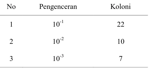 Tabel 4.1 Jumlah Bakteri Staphylococcus aureus                           Pakaian Bekas Pada Rendaman   