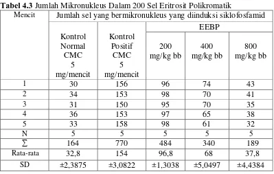 Tabel 4.3 Jumlah Mikronukleus Dalam 200 Sel Eritrosit Polikromatik 