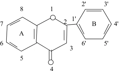 Gambar 1. Penomoran flavonoid (Robinson, 1995)