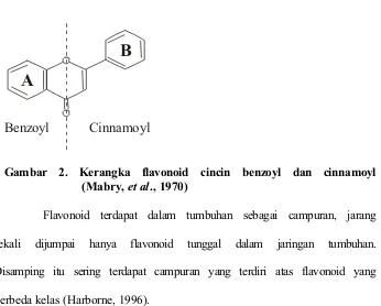 Gambar 2. Kerangka flavonoid cincin benzoyl dan cinnamoyl