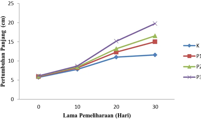 Gambar 6. Pertumbuhan Panjang Ikan Lele 