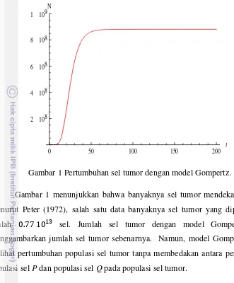 Gambar 1 Pertumbuhan sel tumor dengan model Gompertz. 