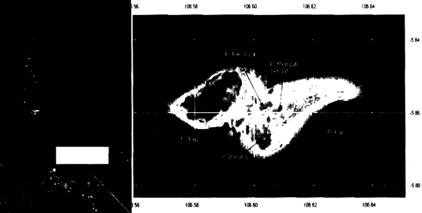 Fig. 1. Map of research location and sites, ST 1 Pari and ST 2- Tikus, Pari Island Kepulauan Seribu Jakarta 