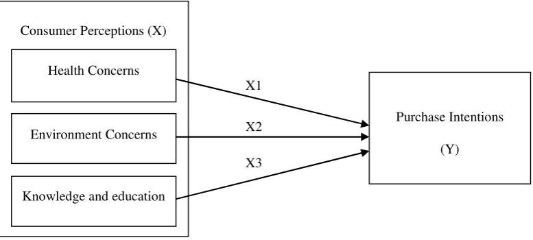 Figure 1. Conceptual Framework