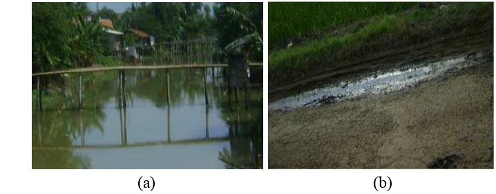 Gambar 4 menunjukkan contoh kondisi jalan dan jembatan di daerah 