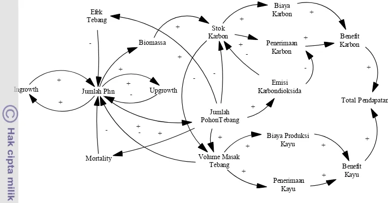 Gambar 6. Causal loop diagram antara komponen dalam model.