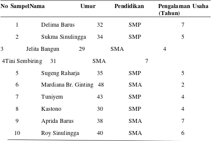 Tabel 10. Karakteristik Pengolah di daerah penelitian 