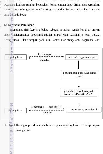 Gambar 1 Kerangka pemikiran penelitian respons kepiting bakau terhadap umpan 