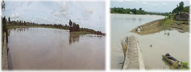 Gambar 3. Segmen belokan Sungai Jelarai di Desa Jelarai,  Tanjung Selor, 2014. 