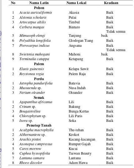 Tabel 4. Jenis Tanaman di Jalur Hijau Jalan Jenderal Sudirman 