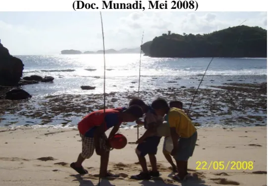 Gambar 7. Panorama Batu karang Di Laut 