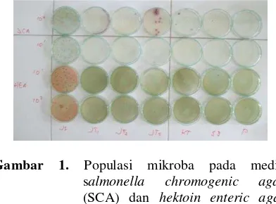 Tabel 1. Populasi bakteri enteropatogenik sumber mata air 
