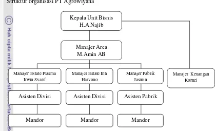 Gambar  6. Struktur Organisasi PT Agrowiayana 