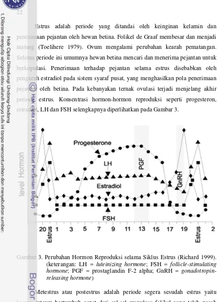 Gambar 3. Perubahan Hormon Reproduksi selama Siklus Estrus (Richard 1999). 
