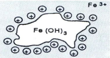Gambar 2.4 Adsorpsi ion oleh koloid (Benny Karyadi, 1997 : 158)