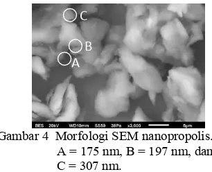 Gambar 3 Serbuk nanopropolis. 