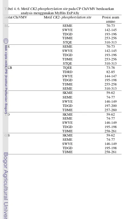 Tabel 4. 6. Motif CK2-phosphorylation site pada CP ChiVMV berdasarkan 
