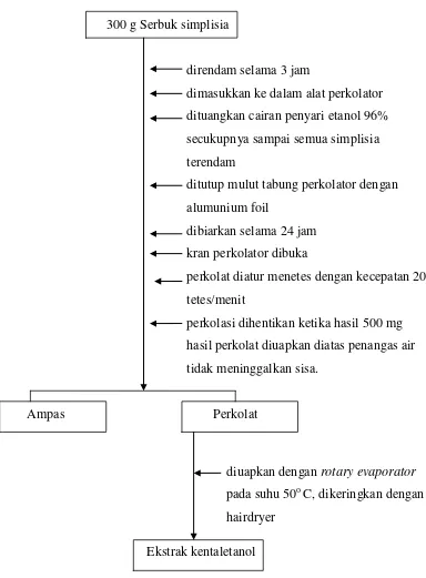 Gambar 3.5  Bagan pembuatan ekstrak etanol teripang Pearsonothuria graeffei                          (Semper, 1868) 