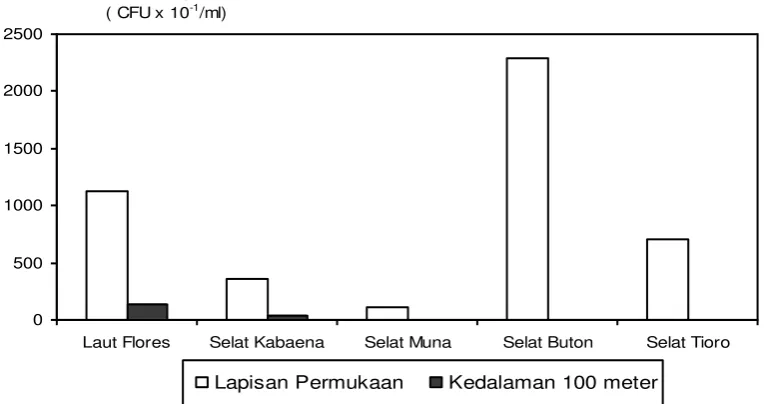 Gambar 3.  Perbandingan kandungan bakteri heterotrofik pada kedalaman laut permukaan dan kedalaman 100 meter di perairan Laut Flores, Selat Kabaena, Selat Muna, Selat Buton dan Selat Tioro, Sulawesi Tenggara pada periode penelitian  bulan April – Mei 2006 