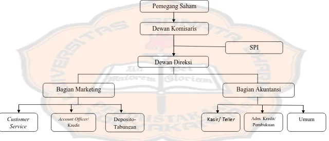 Gambar 4.1 Struktur Organisasi PT. BPR Ukabima Grazia 