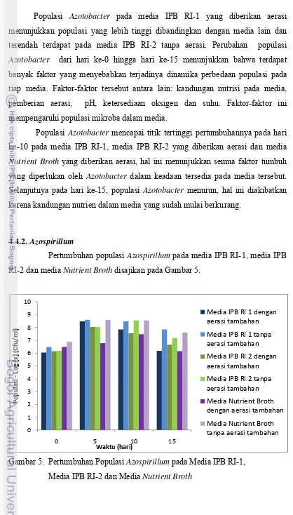 Gambar 5.  Pertumbuhan Populasi Azospirillum pada Media IPB RI-1,  