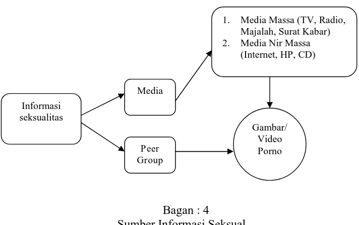 Gambar/Video 