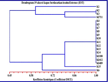 Gambar 2. Dendrogram berdasarkan keragaman pola pita isozim esterase   (EST) 