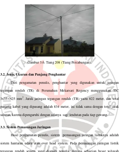 Gambar 3.6. Tiang 208 (Tiang Percabangan). 