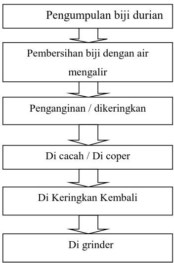 Gambar 1. Prosedur kerja pengolahan biji durian 