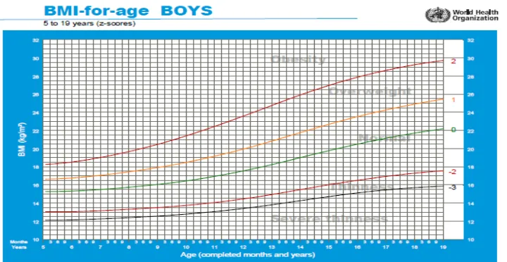Gambar 6. Diagram BMI for Age untuk anak laki-laki usia 5-19 tahun21