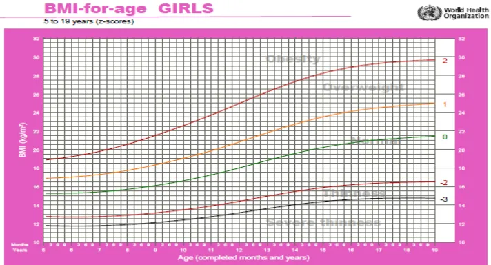 Gambar 7. Diagram BMI for Age untuk anak perempuan usia 5-19 tahun21