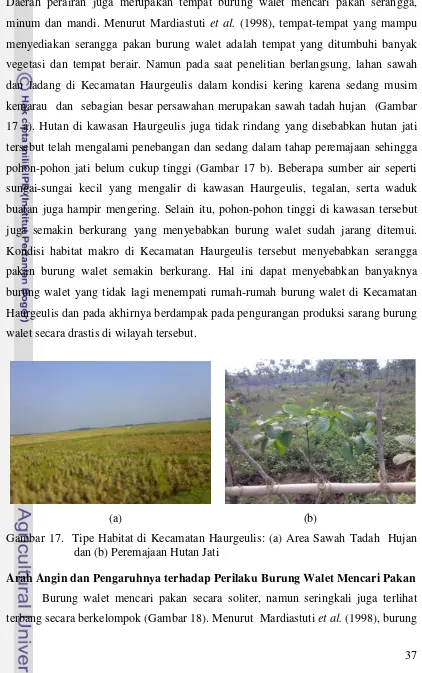Gambar 17.  Tipe Habitat di Kecamatan Haurgeulis: (a) Area Sawah Tadah  Hujan 