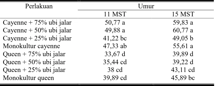 Tabel 1. Hasil DMRT pengaruh varietas nanas dan proporsi ubi jalar terhadap tinggi tanaman umur 11 dan 15 MST (cm) 