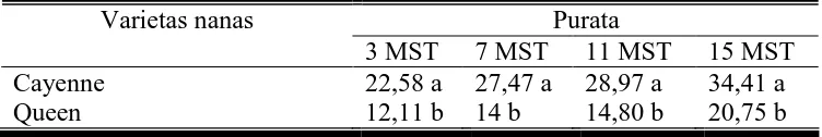 Tabel 2. Hasil DMRT jumlah daun pada berbagai varietas nanas pada umur  3 MST, 7 MST, 11 MST dan 15 MST 
