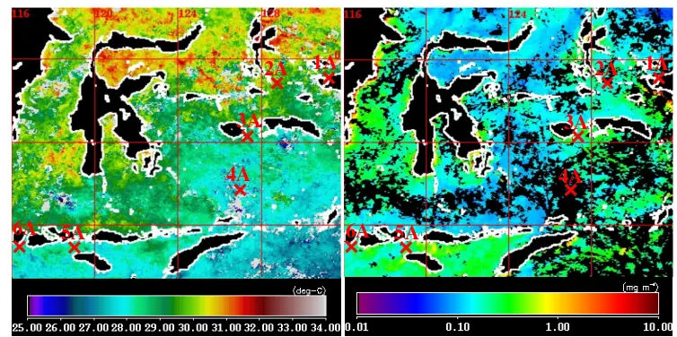 Gambar 8.  Sebaran SPL (kiri) dan sebaran klorofil-a (kanan) dari citra Aqua- MODIS periode 4–11 Juli 2010