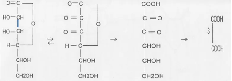 Gambar 2. Reaksi Perubahan Vitamin C (Silalahi, 1985). 