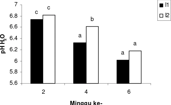 Gambar 4.2. Pengaruh interaksi macam inokulum dan waktu inkubasi terhadap pH H2O selama inkubasi 6 minggu (purata yang diikuti huruf yang sama pada berbagai waktu inkubasi menunjukkan berbeda tidak nyata pada uji DMR 5%;               I1: Pseudomonas putida, dan I2  : Bacillus megatherium)  
