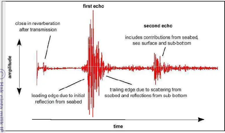 Gambar 13. Bentuk sinyal keluaran echosounder (Siwabessy et al. 2005) 