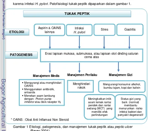 Gambar 1 Etiologi, patogenesis, dan manajemen tukak peptik atau peptic ulcer  