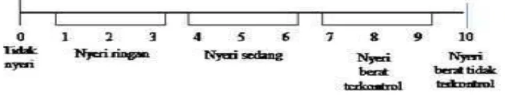 Gambar 1. Skala Nyeri Numeric Rating Scale (NRS) menurut Smeltzer et al 