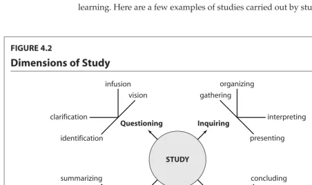 FIGURE 4.2Dimensions of Study