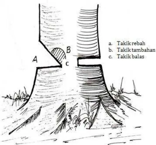 Gambar  6. Takik Rebah Untuk Pohon Berdimeter Besar 
