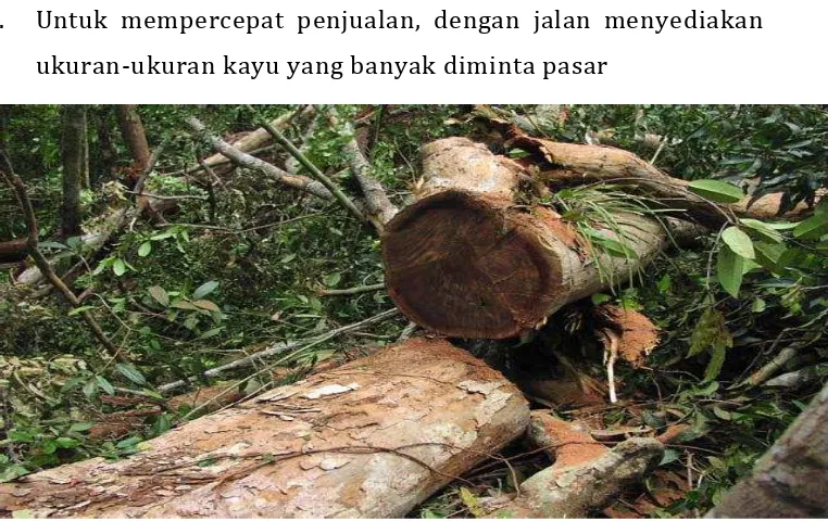 Gambar  16. Pemotongan / Bucking Yang Tepat Pada Titik  Di Mana Pohon Mulai Bercabang